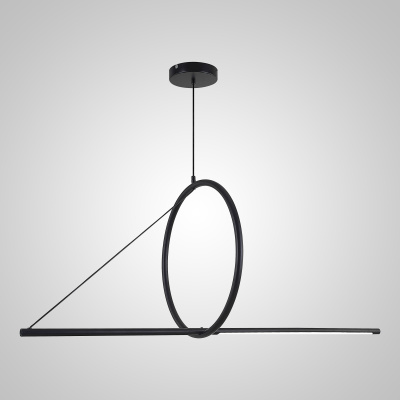 Подвесной светильник SUSPENSION CERCLE ET TRAIT – GRAPHITE SATINE L120 ImperiumLoft
