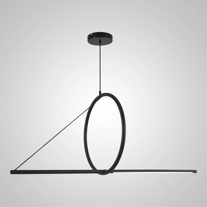 Подвесной светильник SUSPENSION CERCLE ET TRAIT – GRAPHITE SATINE L120 ImperiumLoft