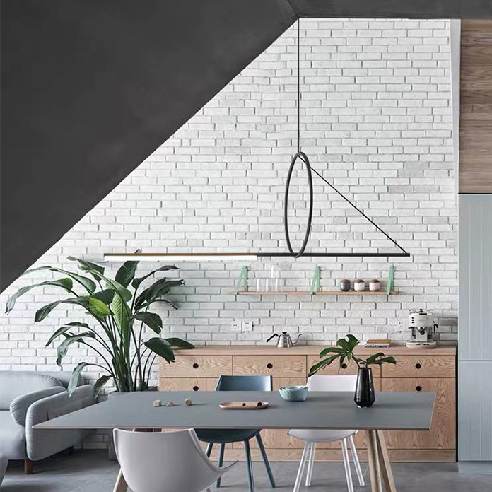 Подвесной светильник SUSPENSION CERCLE ET TRAIT – GRAPHITE SATINE L120 ImperiumLoft