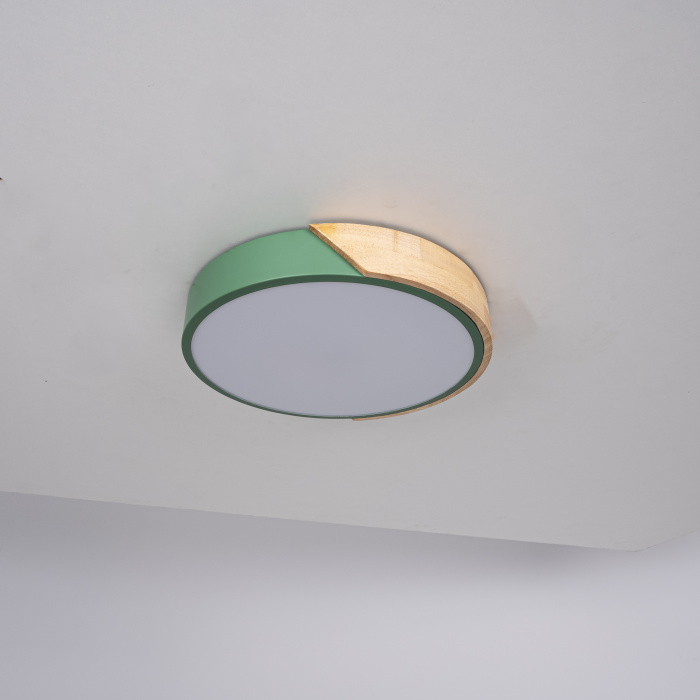 Потолочный светильник CLIP Green D30 ImperiumLoft