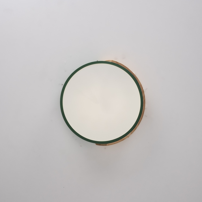 Потолочный светильник CLIP Green D30 ImperiumLoft