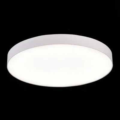 Накладной светильник ST LUCE ST606.542.96