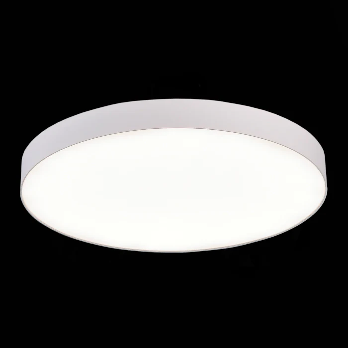 Накладной светильник ST LUCE ST606.542.96