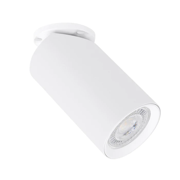 Светильник точечный накладной со сменной лампой Arte Lamp NODO A3213PL-1WH