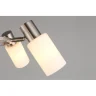 Люстра подвесная Omnilux Ales OML-69113-06