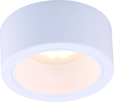 Потолочный светильник Arte Lamp Effetto A5553PL-1WH