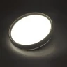 7627/ELN PALE SN 175 Светильник пластик/венге под дерево LED 76Вт 3000/4000/6000K D490 IP43 CCT WOODI