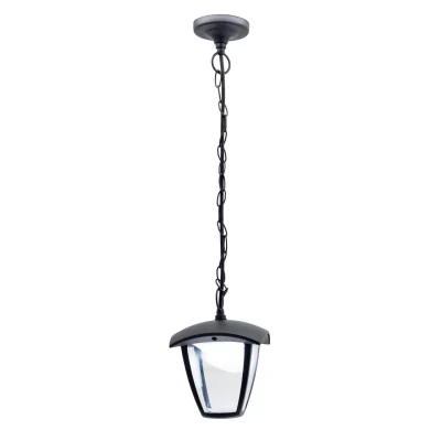 Уличный подвесной светильник Citilux Garda CLU04P