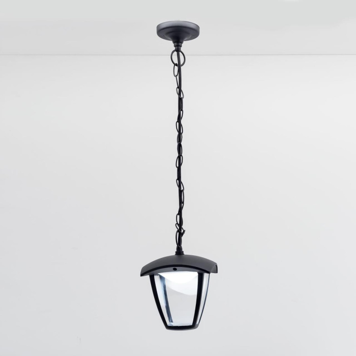 Уличный подвесной светильник Citilux Garda CLU04P