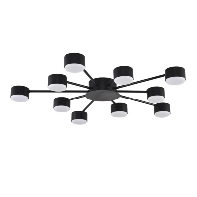 Люстра потолочная Lumion Torina 8344/10C