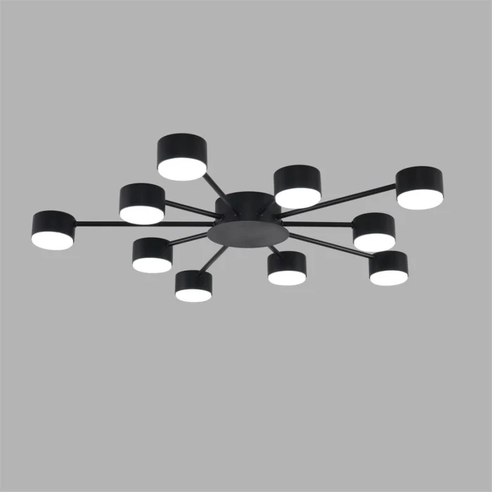 Люстра потолочная Lumion Torina 8344/10C