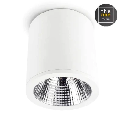 Потолочный светильник Leds C4 90-3529-14-OU