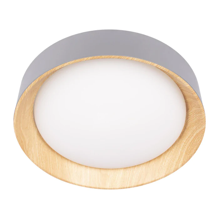 Потолочный светильник LOFT IT Coin 10202 Grey