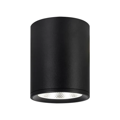Потолочный светильник Escada 20003 20003SMU/02LED SBK