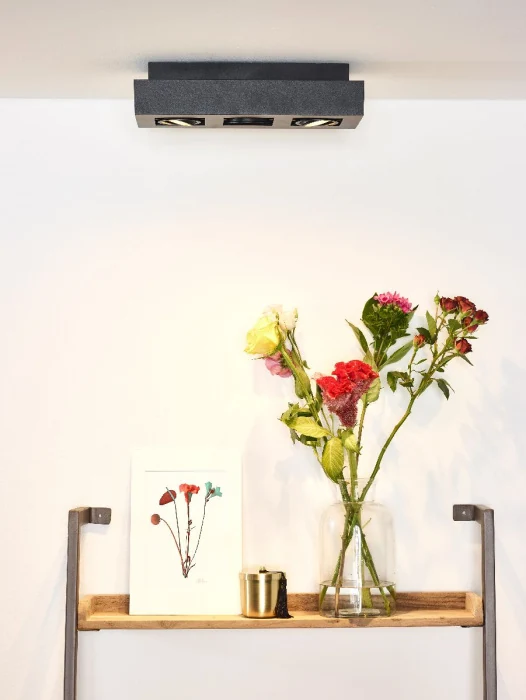 Накладной светильник Lucide Xirax 09119/16/30