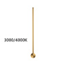 Настенный светильник Odeon Light Fillini 4335/12WGP