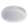 Потолочный светодиодный светильник Arte Lamp Celeste A1569PL-1CL