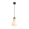 Подвесной светильник Freya Globo FR5628PL-01BGW