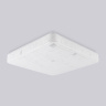 Потолочный светодиодный светильник Ambrella light FZ1154