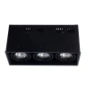 Накладной светильник Arte Lamp CARDANI PICCOLO A5942PL-3BK