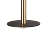 Подвесной светильник Loft it Reed 10358/830 Disk AB