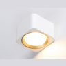 Светильник накладной со сменной лампой GX53 Ambrella light TN70831