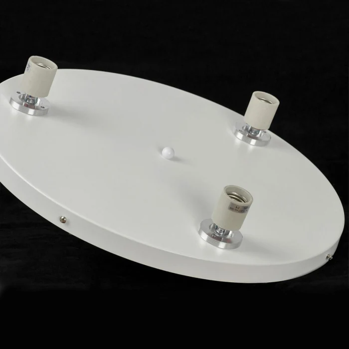 Потолочный светильник Lussole Dove LSP-8904