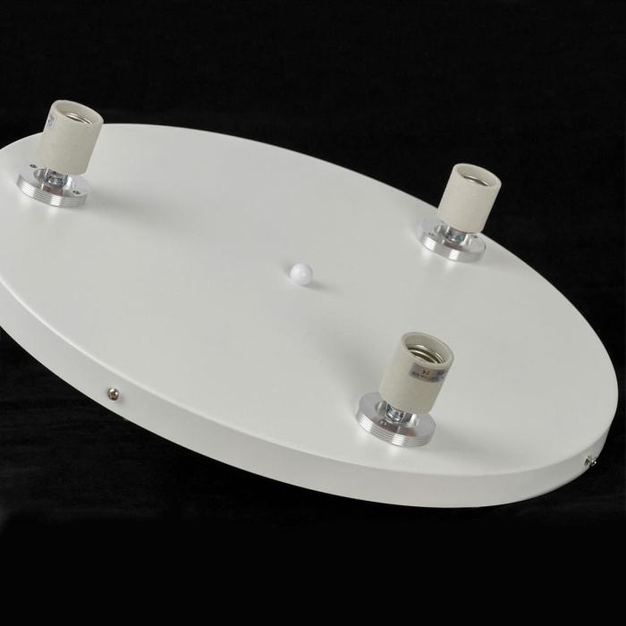 Потолочный светильник Lussole Dove LSP-8904