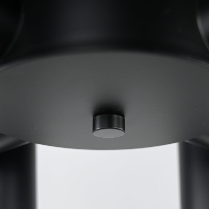 Подвесная люстра FANNY 8 Black ImperiumLoft