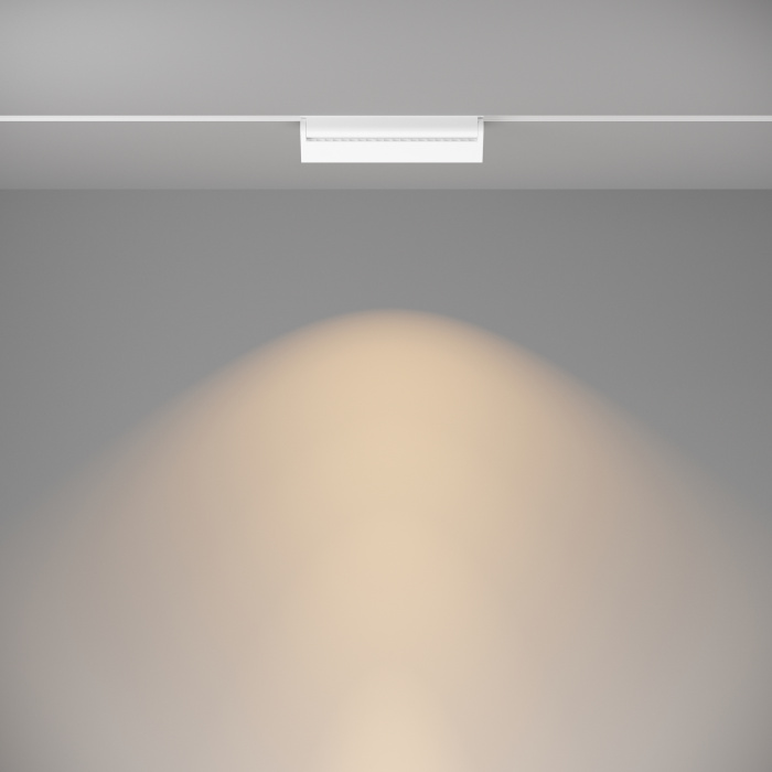 Трековый светильник Maytoni Basis Rot TR075-2-20W3K-W