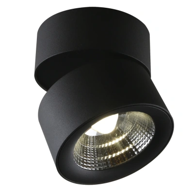 Светодиодный спот Divinare Urchin 1295/04 PL-1