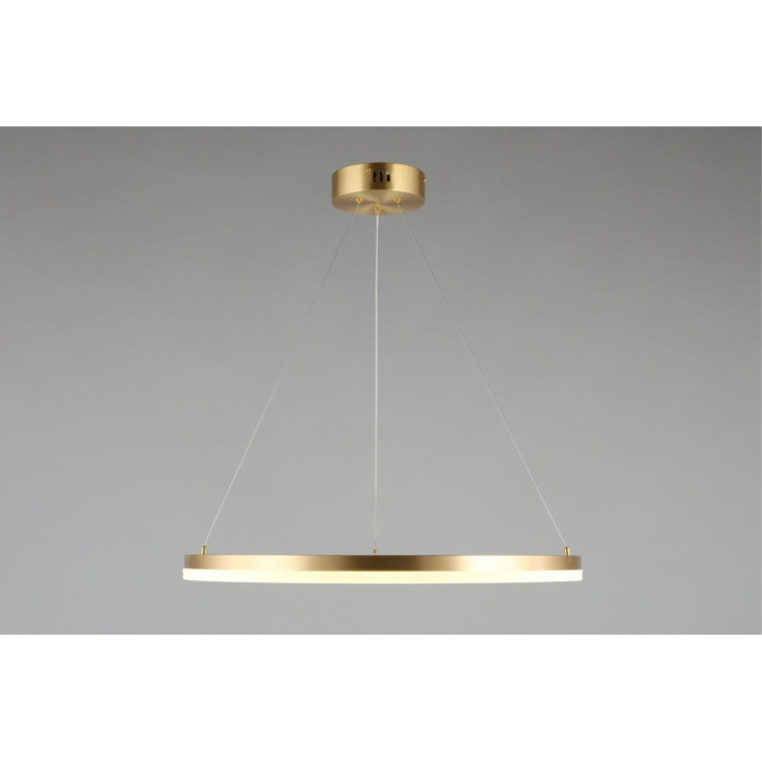 Подвесной светильник Aployt Armel APL.049.13.40