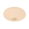 Потолочный светильник Arte Lamp COCOON A6090PL-2WH