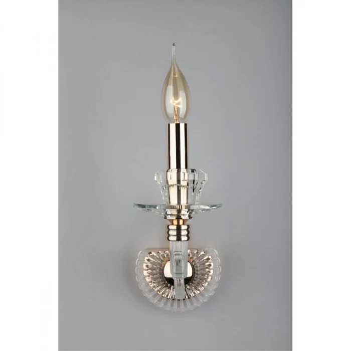 Светильник настенный Aployt Daniele APL.701.01.01