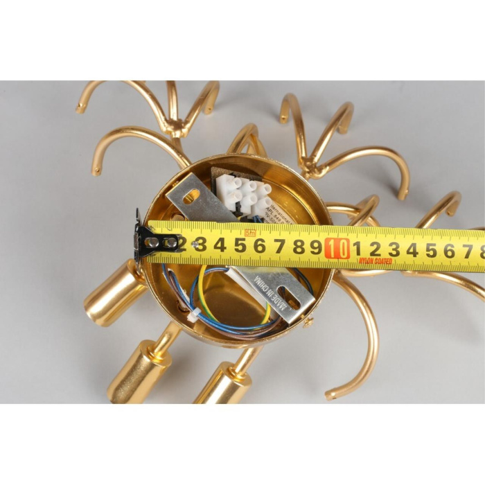 Светильник настенный Aployt Zhozefina APL.849.01.03