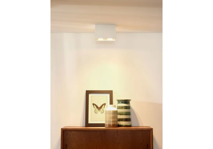 Потолочный светильник TUBE 22953/02/31