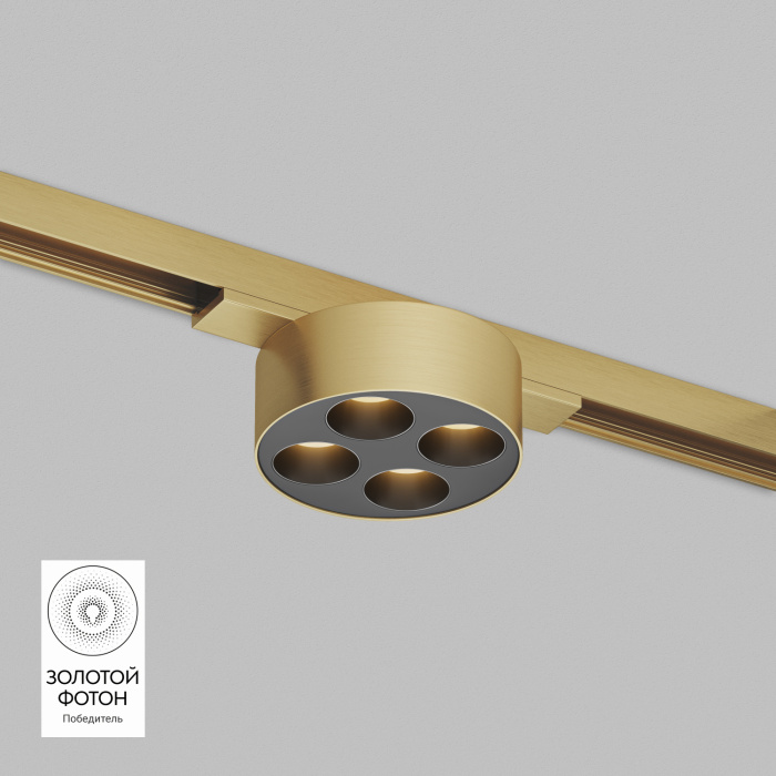 Светильник на шине Denkirs SHINE GRILL DK5772-SB