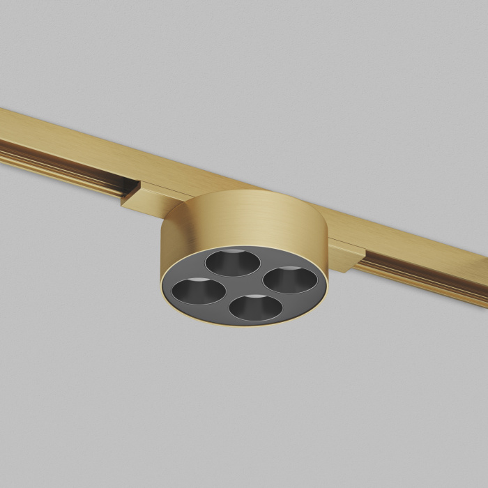 Светильник на шине Denkirs SHINE GRILL DK5772-SB