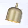 Светильник подвесной Ambrella light TR97113