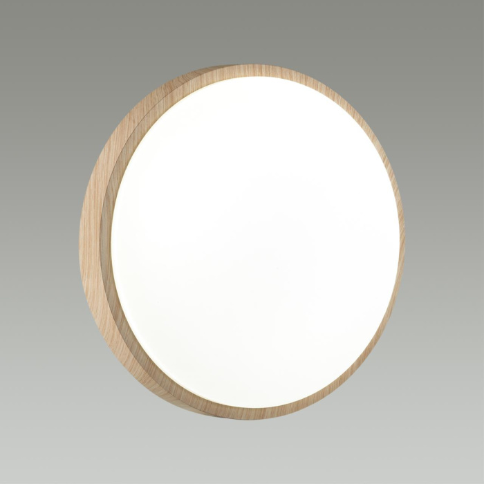 Настенно-потолочный светильник SONEX LOSTA 7607/AL