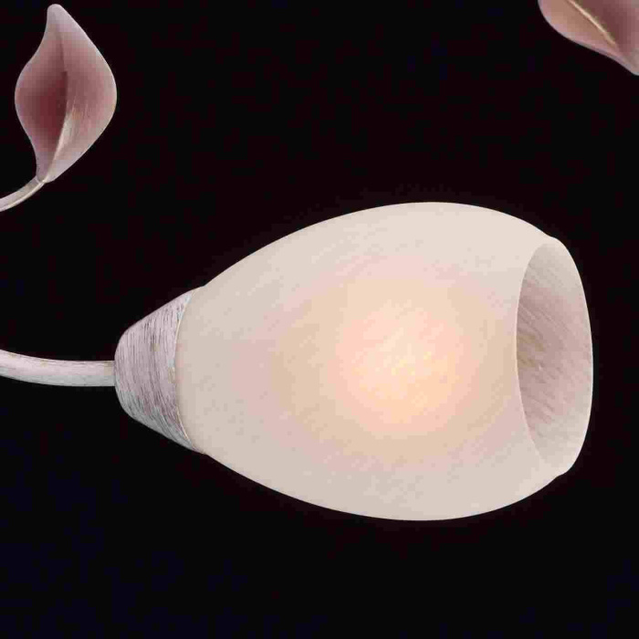 Люстра Восторг MW-LIGHT 242016508