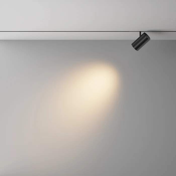Трековый магнитный светильник Maytoni Technical Focus Led Exility X TR243-18W3K-B