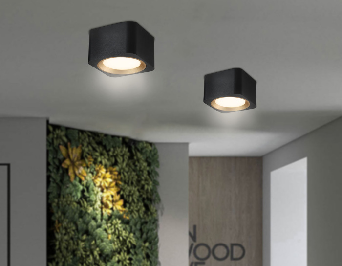 Светильник накладной со сменной лампой GX53 Ambrella light TN70832