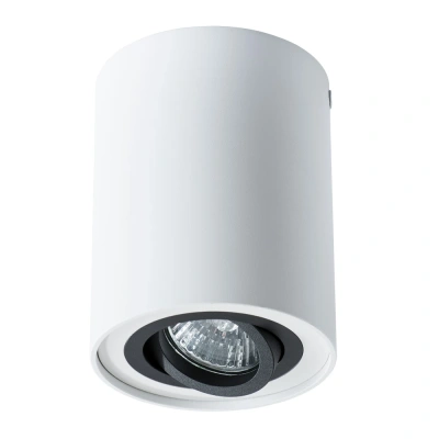 Накладной светильник Arte Lamp FALCON A5644PL-1WH