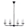 Подвесная люстра Arte Lamp Graff A1857LM-8BK