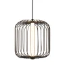 Подвесной светильник Freya Sabi FR6131PL-L13B