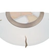 Настенный светильник Arte Lamp PUB A7895AP-1AB