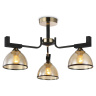 Потолочная люстра Ambrella light TR9098