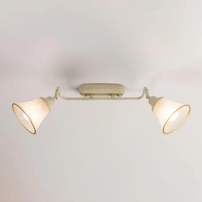 Спот поворотный Citilux Прованс CL511524