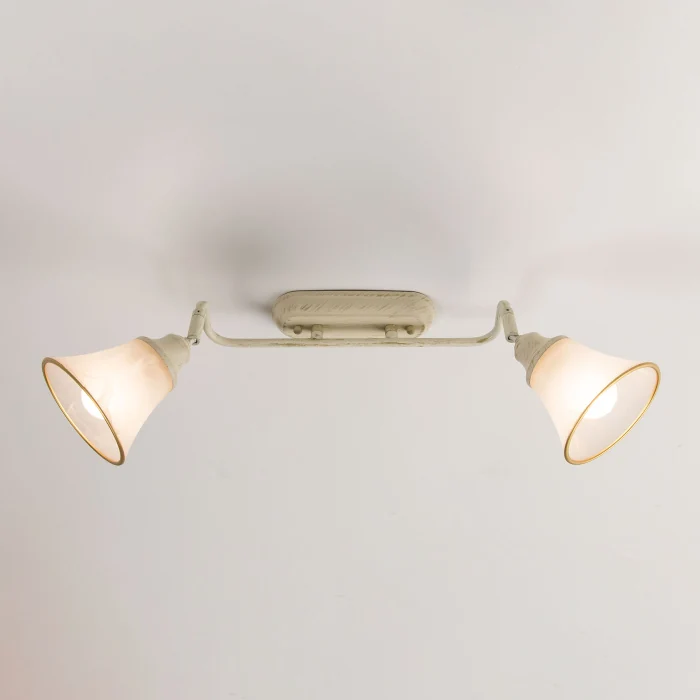 Спот поворотный Citilux Прованс CL511524